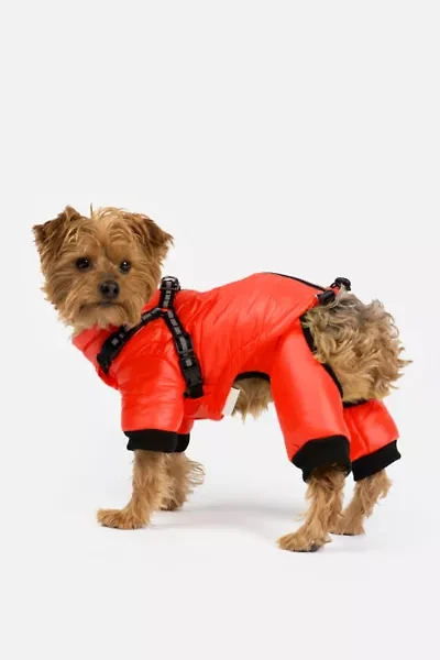 Silver Paw Whistler Full Body Dog Snowsuit