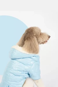 Silver Paw Dog Hooded Puffer Jacket