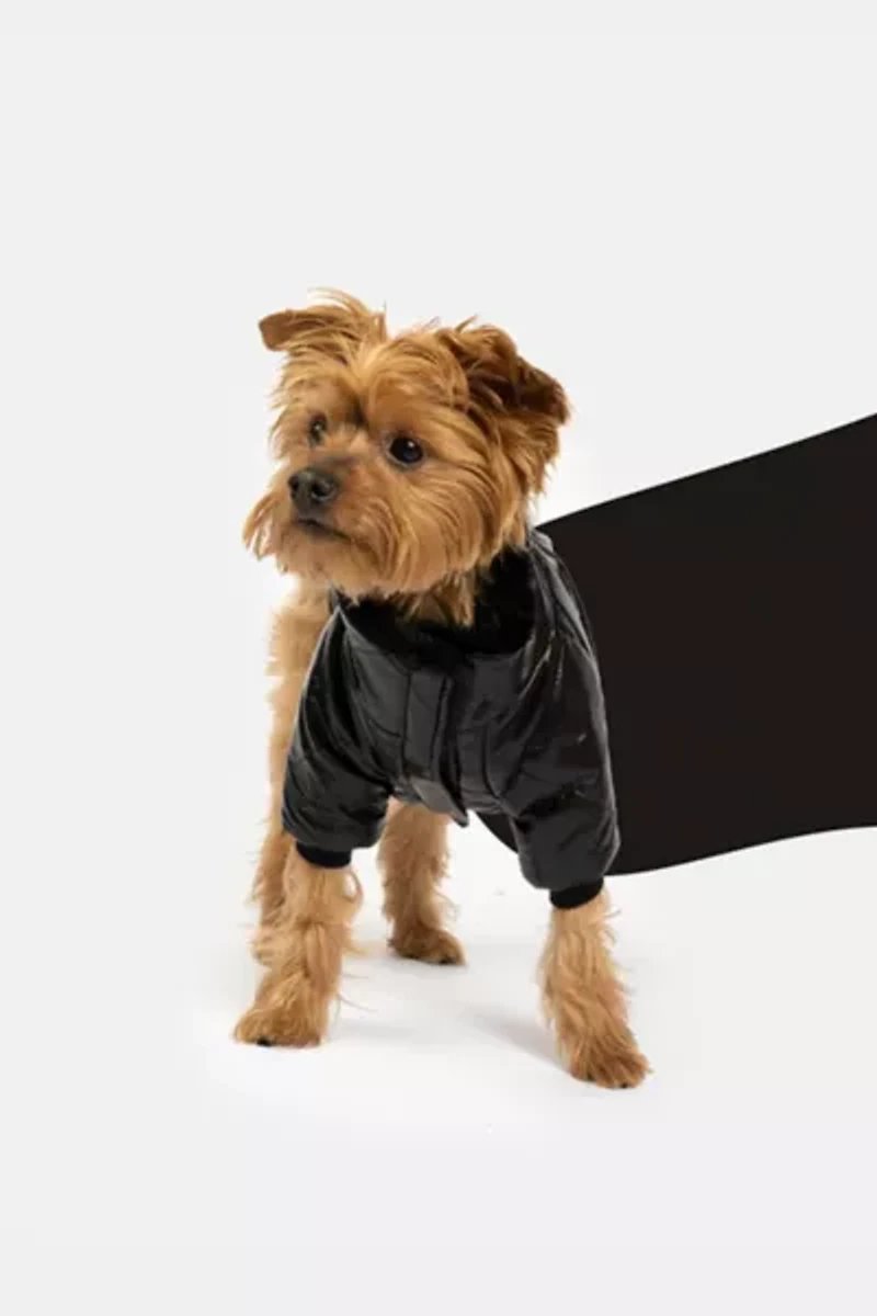 Silver Paw Phoenix Dog Quilted Puffer Jacket