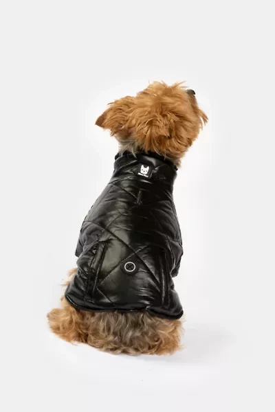Silver Paw Phoenix Dog Quilted Puffer Jacket