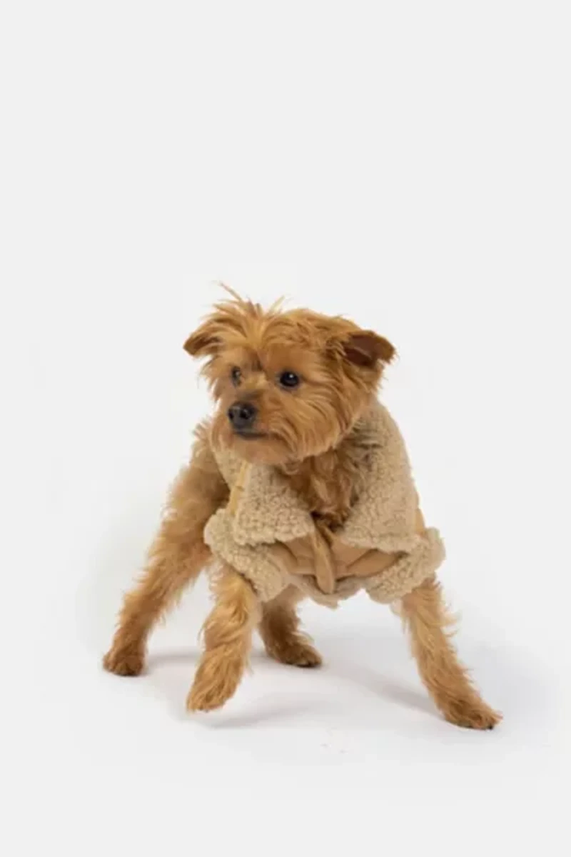Silver Paw Millie Suede Dog Jacket