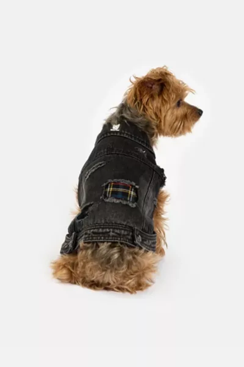 Silver Paw Spencer Denim Dog Jacket