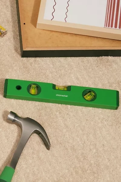 Character Aluminum Level