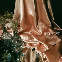 Tigers Jaw - I Won't Care How You Remember Me LP