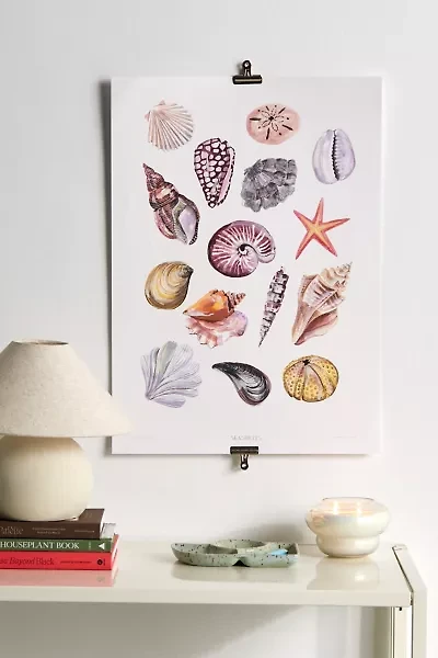 PSTR Studio Laura Seashells Frameless Art Print