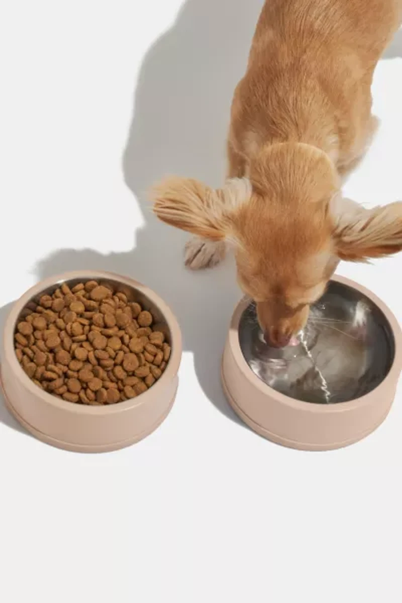 Wild One Stainless Steel Dog Bowl