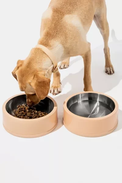 Wild One Stainless Steel Dog Bowl