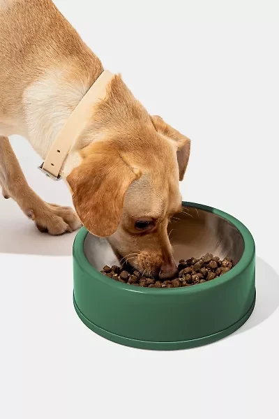 Wild One Stainless Steel Dog Bowl