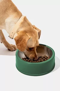 Wild One Stainless Steel Dog Bowl