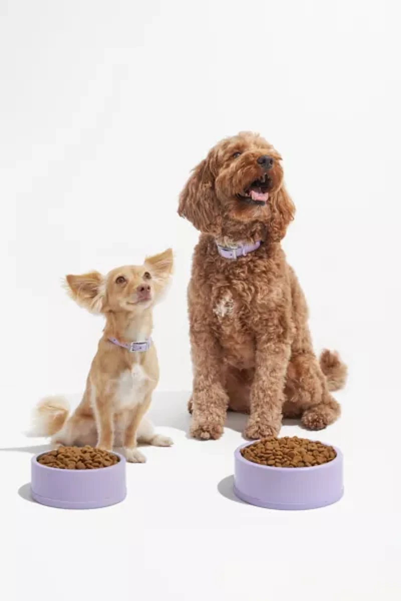 Wild One Stainless Steel Dog Bowl