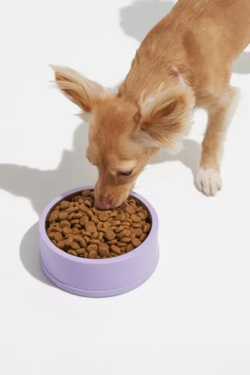 Wild One Stainless Steel Dog Bowl