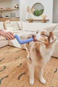 Wild One Bolt Bite Dog Toy