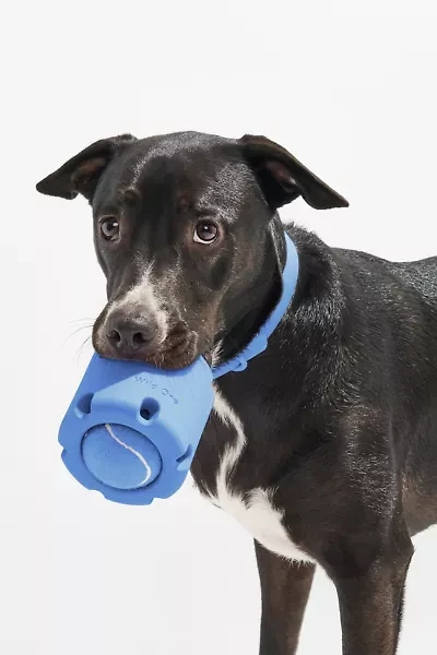 Wild One Tennis Tumble Interactive Dog Toy