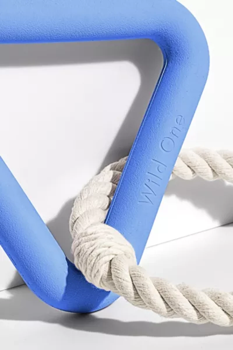 Wild One Triangle Tug Dog Toy