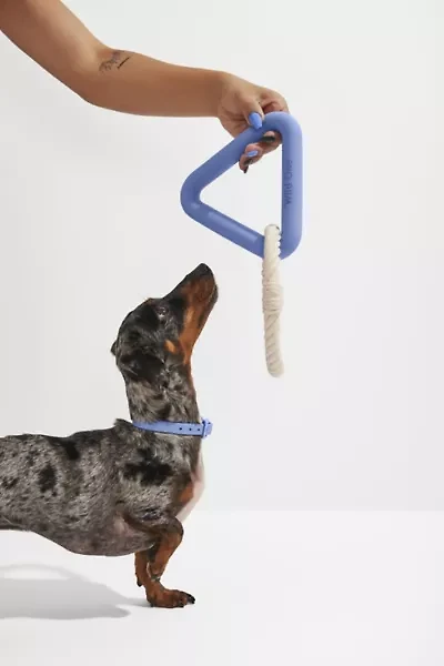 Wild One Triangle Tug Dog Toy