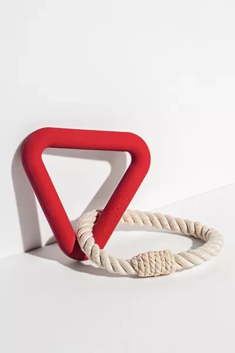 Wild One Triangle Tug Dog Toy