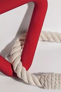 Wild One Triangle Tug Dog Toy