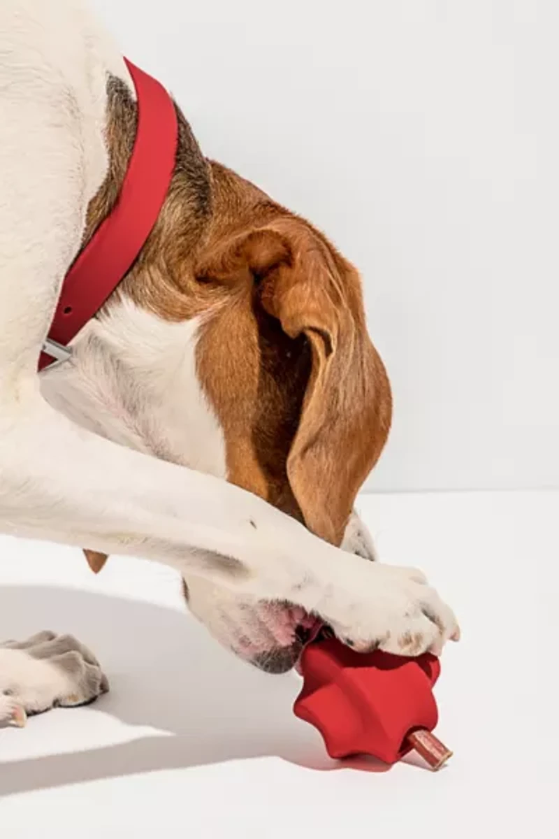 Wild One Twist Toss Dog Toy
