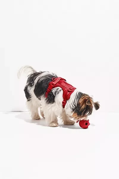 Wild One Twist Toss Dog Toy