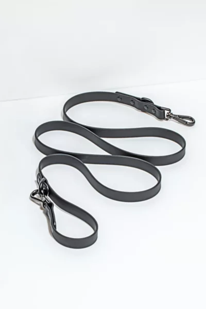 Wild One Adjustable Dog Leash