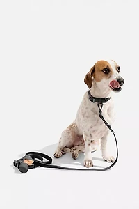 Wild One Adjustable Dog Leash