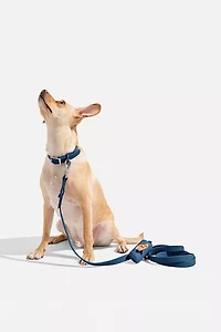 Wild One Adjustable Dog Leash