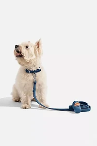 Wild One Adjustable Dog Leash