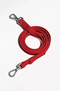 Wild One Adjustable Dog Leash