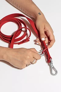 Wild One Adjustable Dog Leash