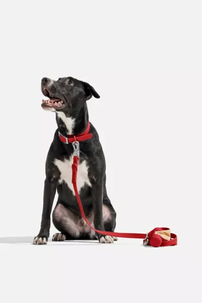 Wild One Adjustable Dog Leash