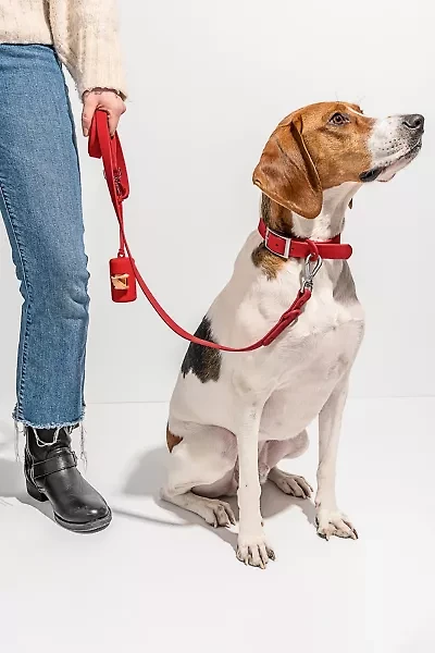 Wild One Adjustable Dog Leash