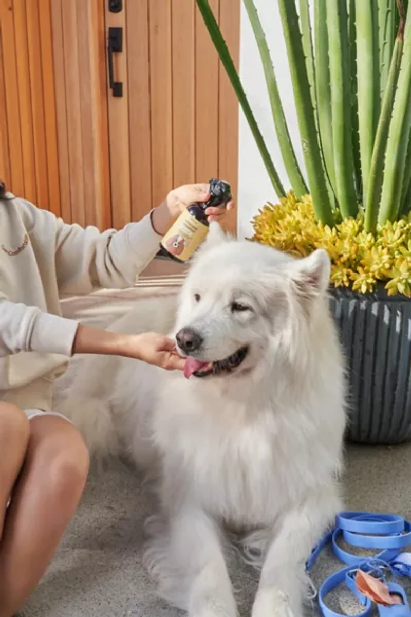 Wild One Cedar & Citrus Rinseless Dog Shampoo