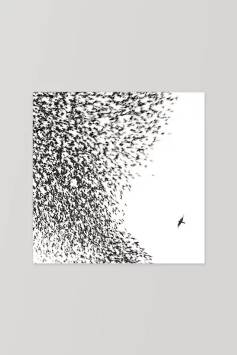 Wilco - Sky Blue Sky  LP