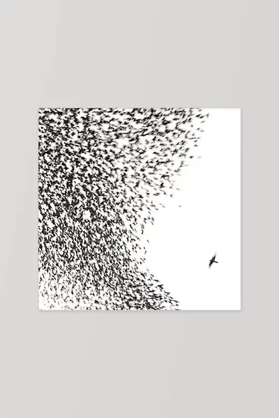 Wilco - Sky Blue Sky  LP