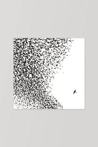Wilco - Sky Blue Sky  LP