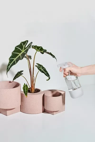Tortuga Forma Concrete Terrazzo Planter - Set of 2
