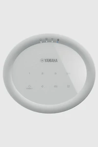 Yamaha WX-021 MusicCast 20 Wireless Speaker