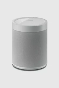 Yamaha WX-021 MusicCast 20 Wireless Speaker