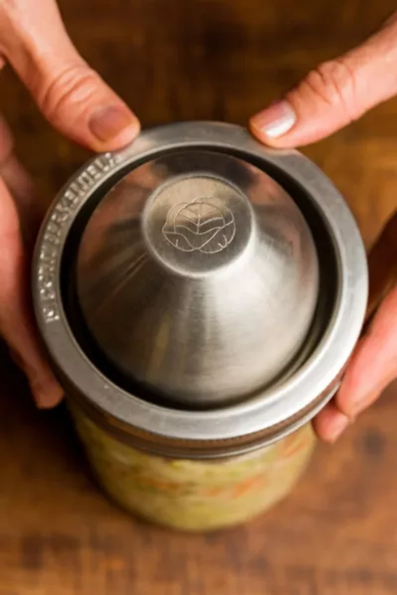 The Little Fermenter Stainless Steel Fermentation Kit