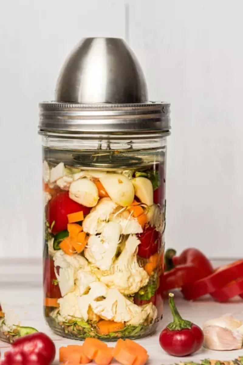 The Little Fermenter Stainless Steel Fermentation Kit