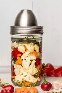 The Little Fermenter Stainless Steel Fermentation Kit