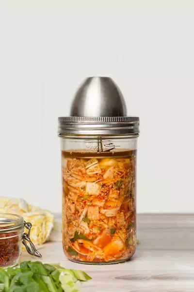 The Little Fermenter Stainless Steel Fermentation Kit