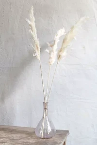Roxanne’s Dried Flowers Pink Pampas Grass