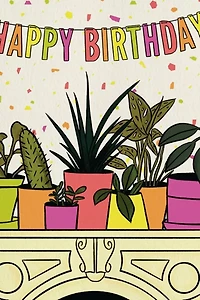 Boss Dotty House Plants Birthday Card