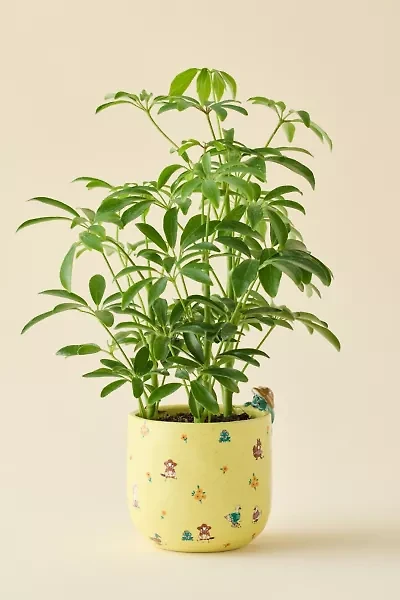 Peeking Animal Stone Planter