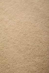 Aine Hand-Tufted Rug