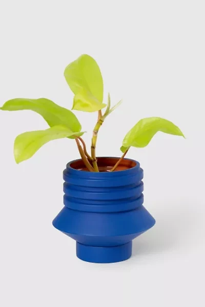 Areaware Strata Ceramic Plant Vessel