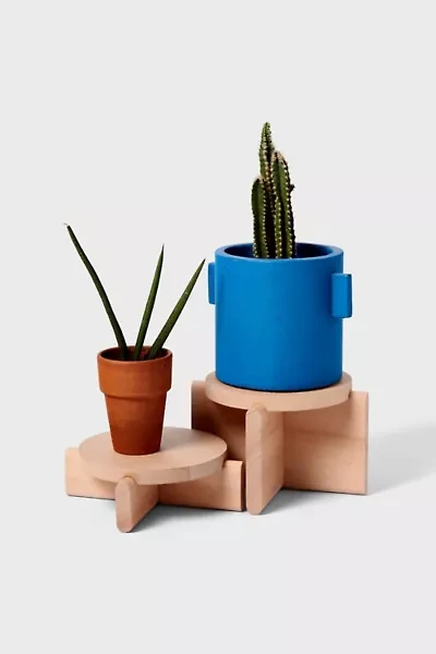 Areaware Wooden Plant Pedestal Set