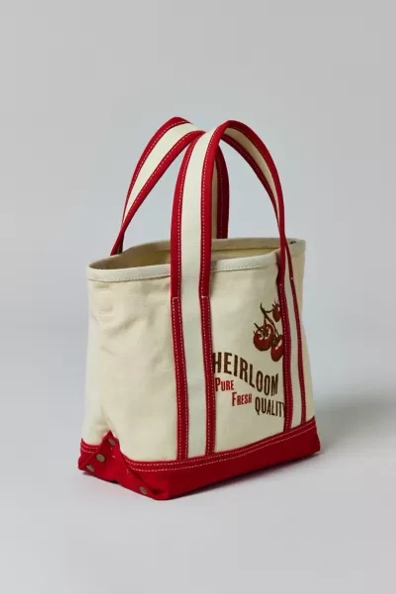 BDG Graphic Mini Canvas Tote Bag