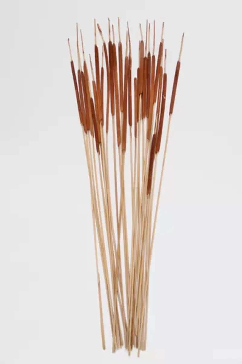 Roxanne’s Dried Flowers Pencil Cattails